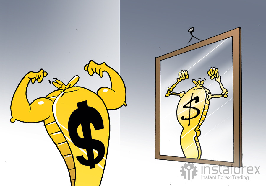 Dollar's global weight at risk, IMF warns