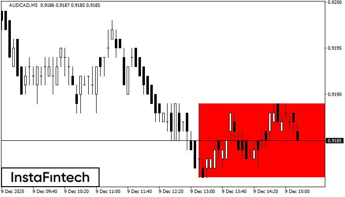 Niedźwiedzi Prostokąt