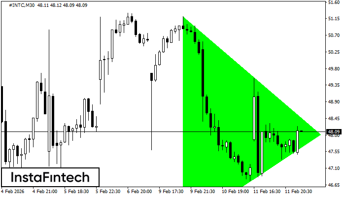 B&yacute;č&iacute; symetrick&yacute; trojuholn&iacute;k