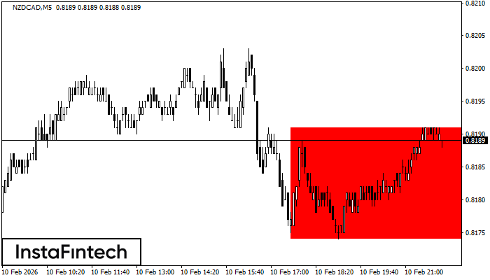 Niedźwiedzi Prostokąt