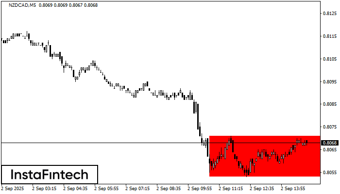 Прямоугольник NZDCAD M5
