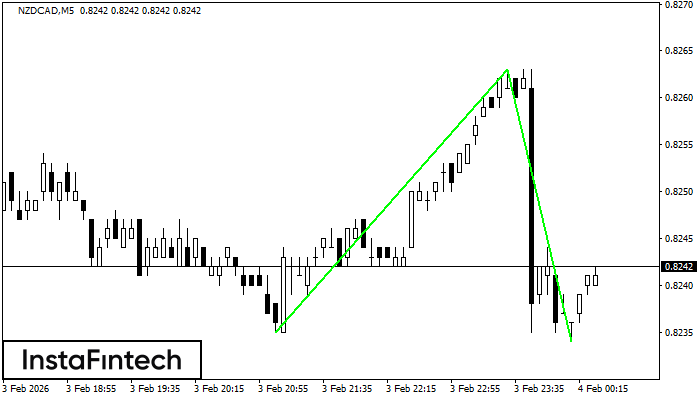 डबल बॉटम