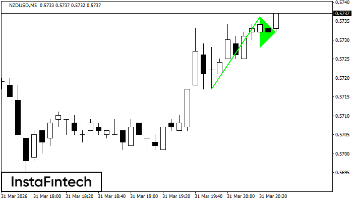 বুলিশ পেন্যান্ট