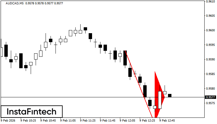 बियरिश पताका