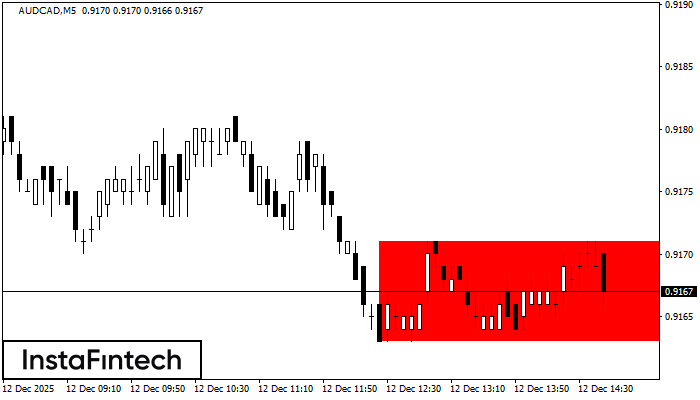Niedźwiedzi Prostokąt