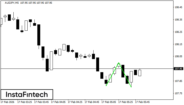 ডাবল বটম