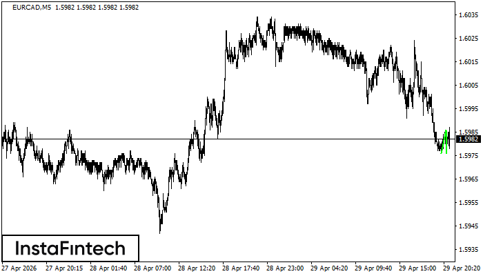 ডাবল বটম