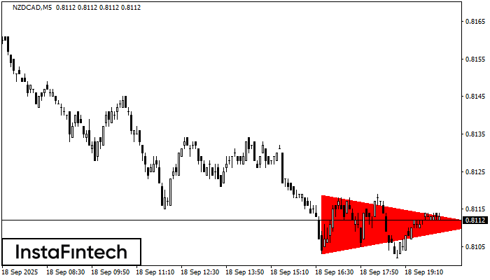 Медвежий симметричный треугольник NZDCAD M5