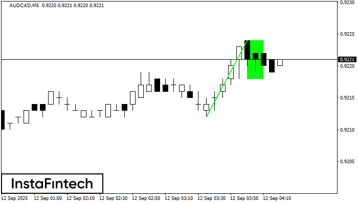 Бычий флаг AUDCAD M5