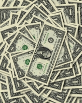 ������ ����� ��� �� 62 �������