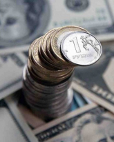 Доллар поднялся на 6 копеек