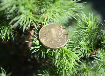 https://forex-images.ifxdb.com/usd_rur_news/preview/5fd76cd974d95.jpg