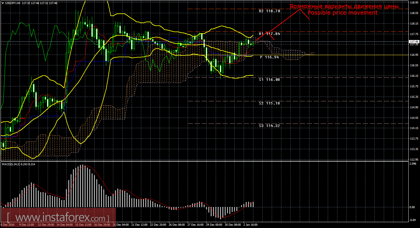 Технический анализ и торговые рекомендации по валютной паре USD/JPY на 3 января 2017 года
