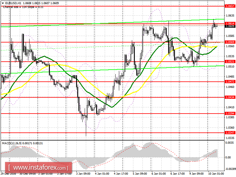 Аналитический обзор EUR/USD с прогнозом на вторник, 10 января 2017 года