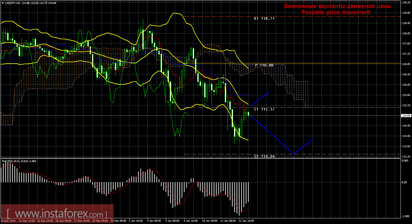 Технический анализ и торговые рекомендации по валютной паре USD/JPY на 13 января 2017 года