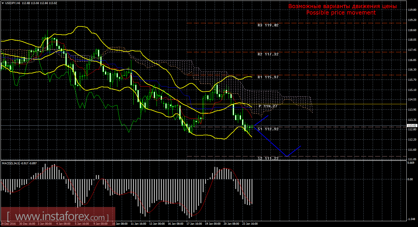 Технический анализ и торговые рекомендации по валютной паре USD/JPY на 24 января 2017 года