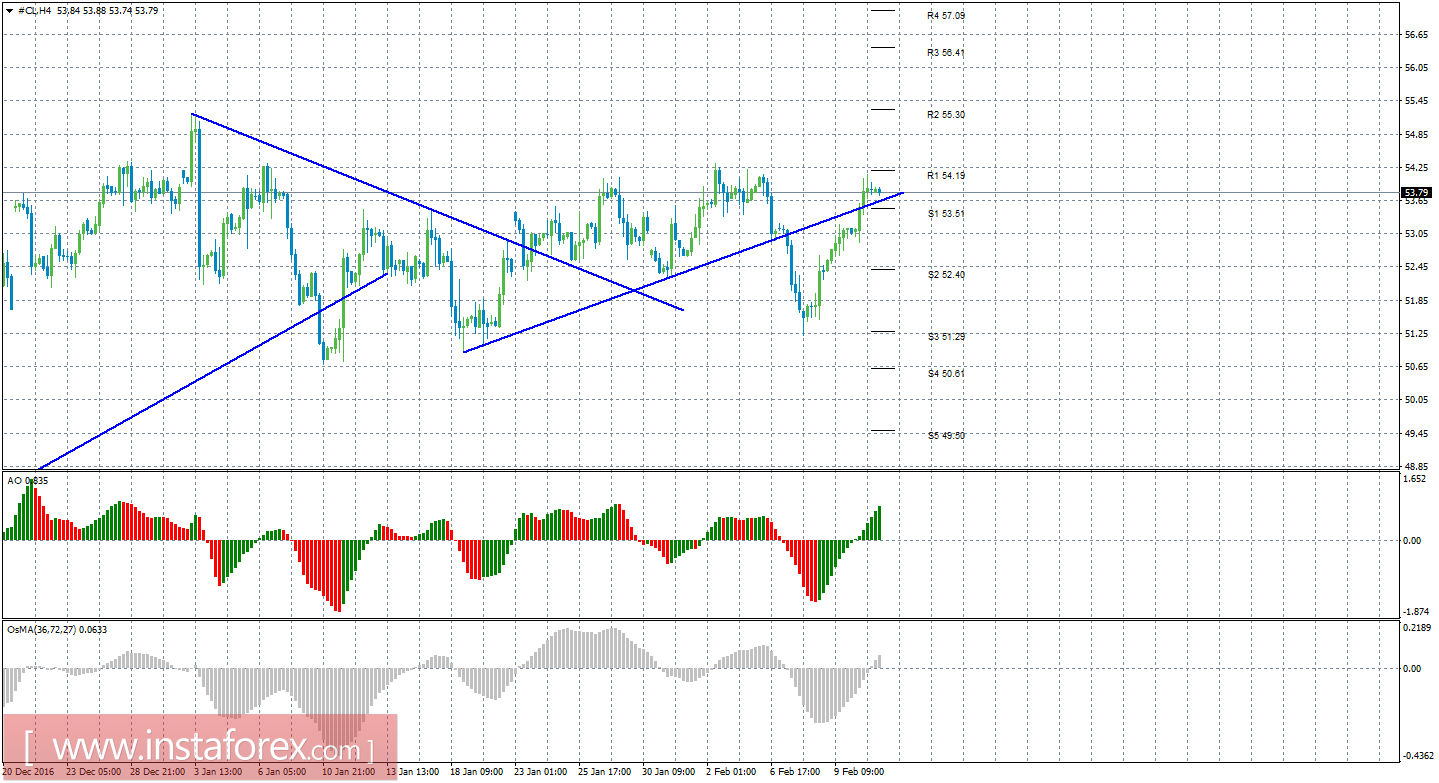 Технический анализ сырой нефти за 13 февраля 2017 года