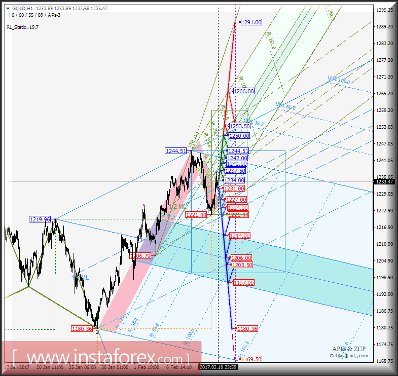 Gold Spot h1. Варианты развития движения с 13 февраля 2017 г. Анализ APLs & ZUP