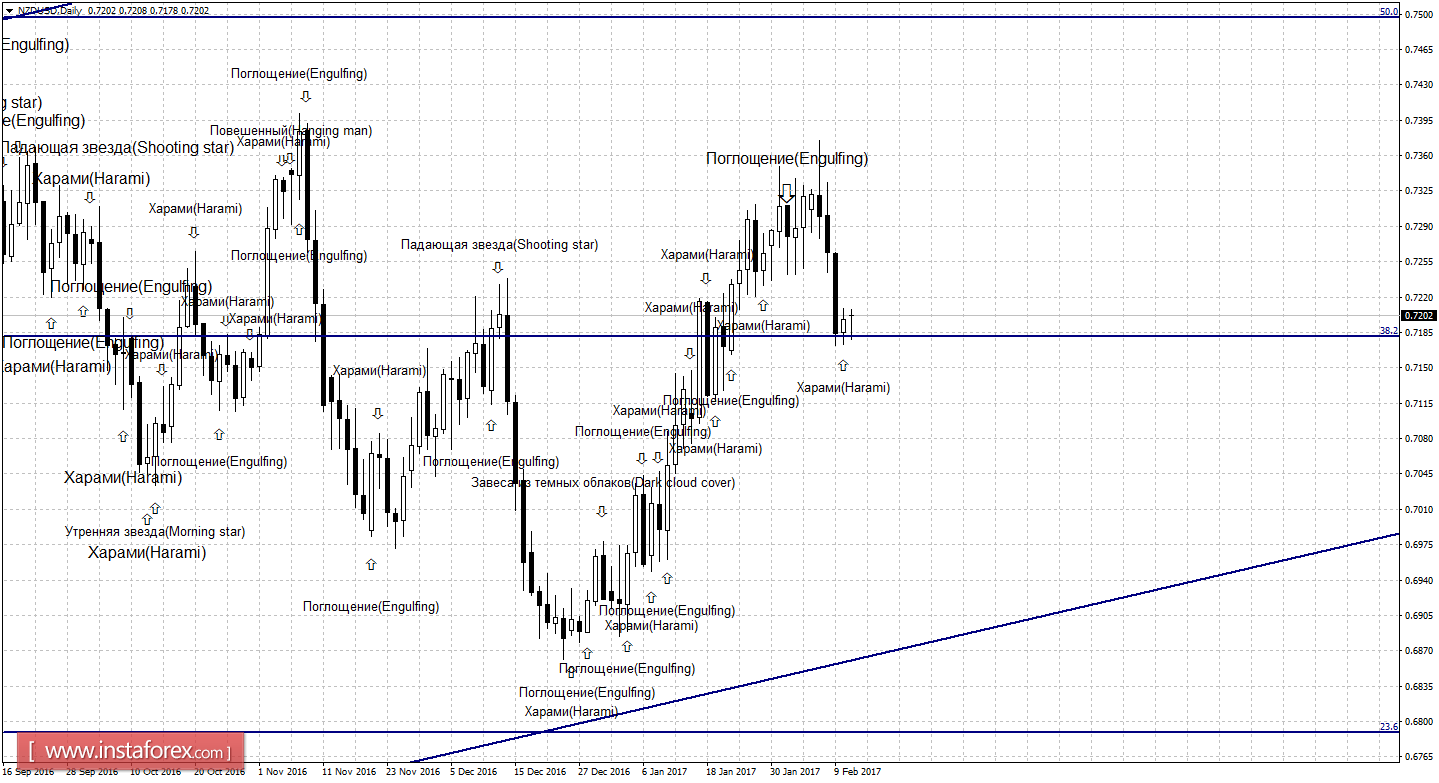 Свечной анализ NZD/USD на 13 февраля
