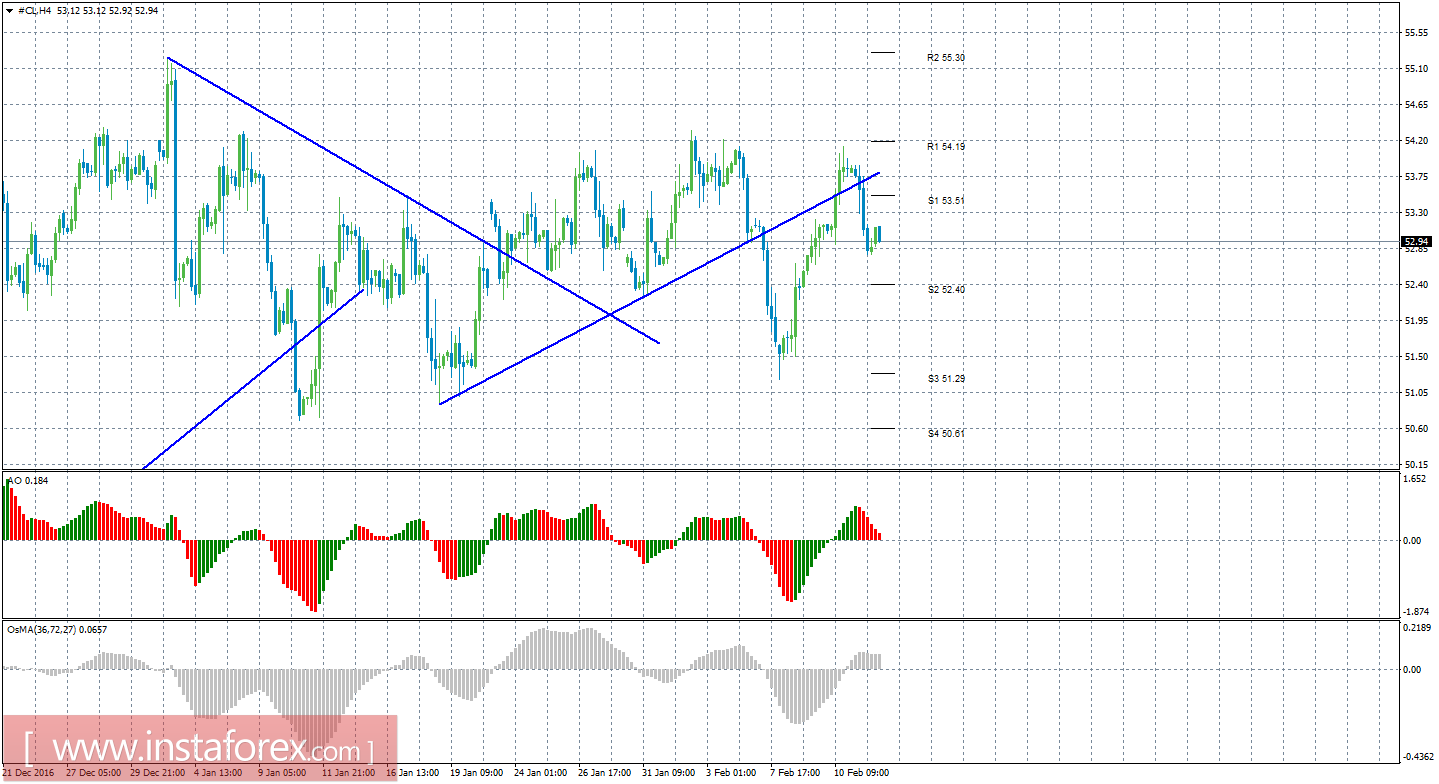 Технический анализ сырой нефти за 14 февраля 2017 года