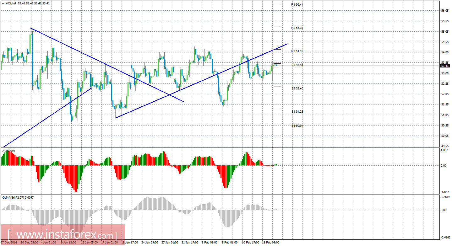 Технический анализ сырой нефти за 17 февраля 2017 года