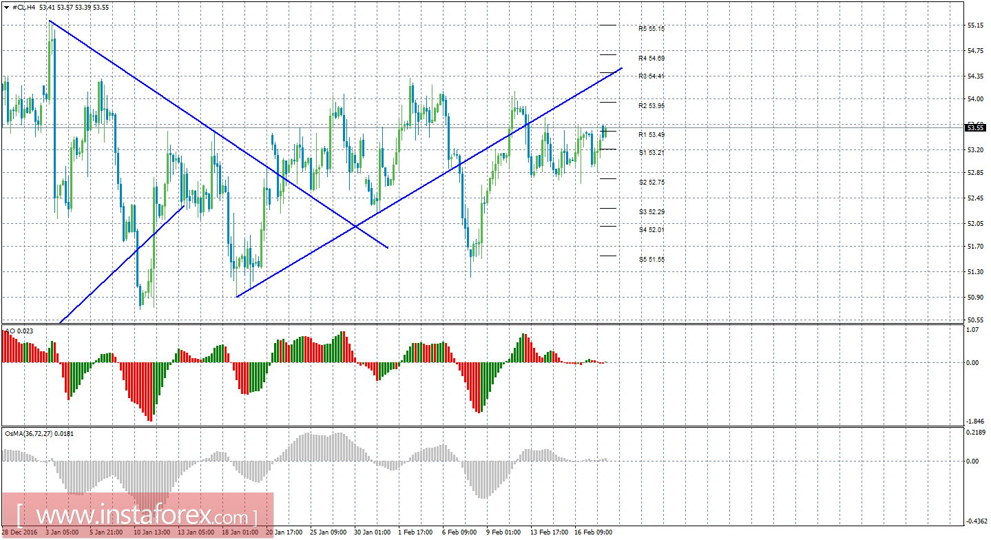 Технический анализ сырой нефти за 20 февраля 2017 года