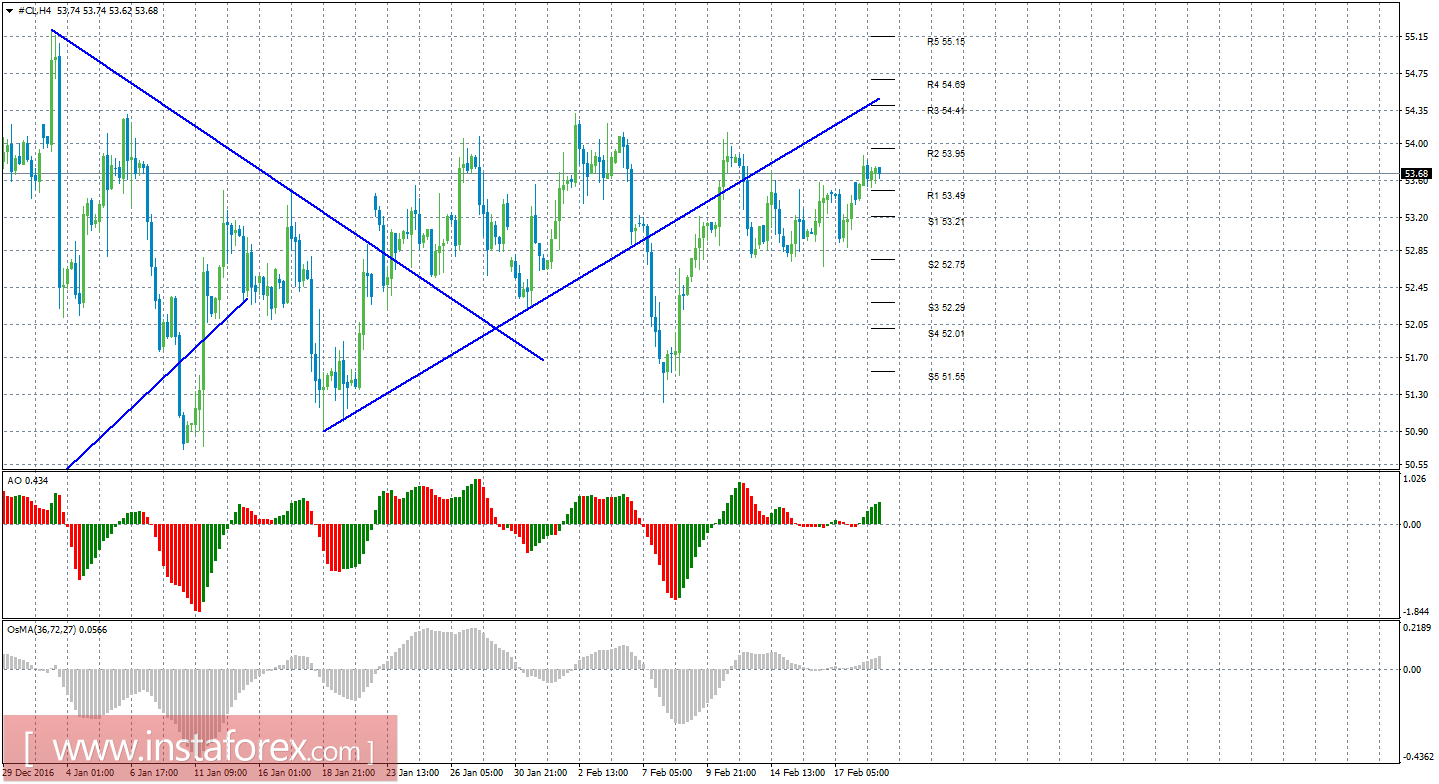 Технический анализ сырой нефти за 21 февраля 2017 года