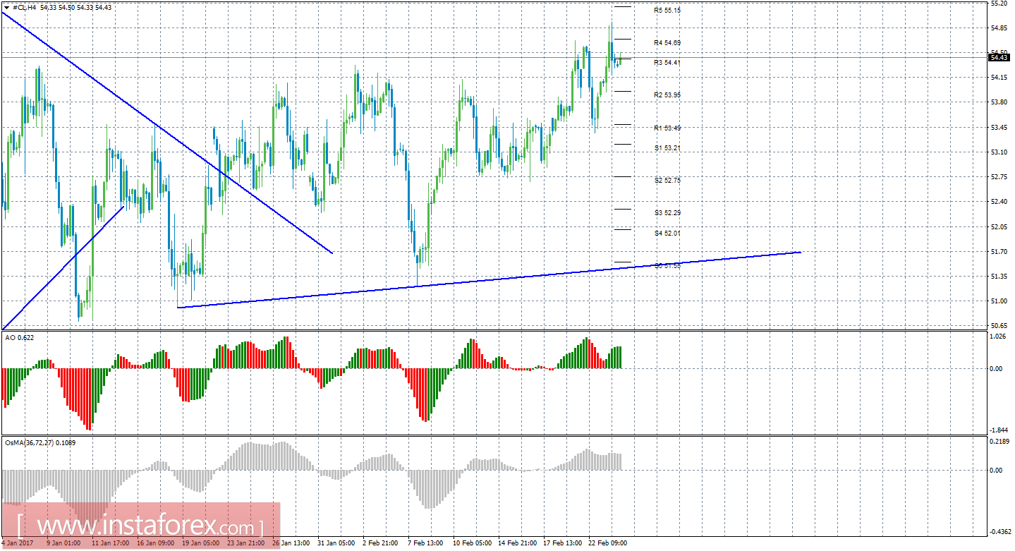 Технический анализ сырой нефти за 24 февраля 2017 года