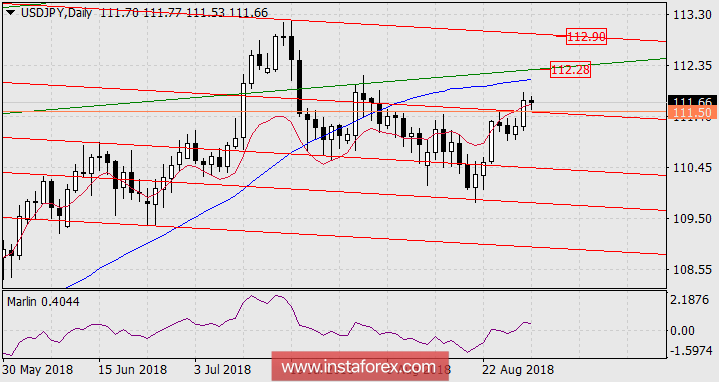 Прогноз по USD/JPY на 30 августа 2018 года