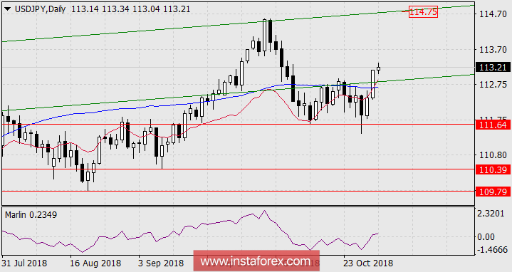 Прогноз по USD/JPY на 31 октября 2018 года