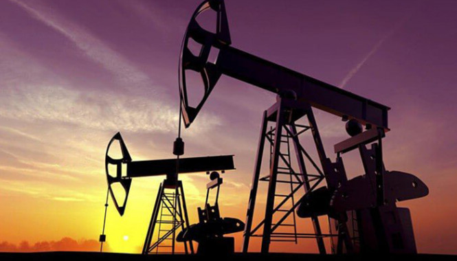 Oil prices rose from bottom