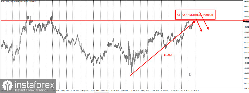 NZDCAD: ставим новую сеть