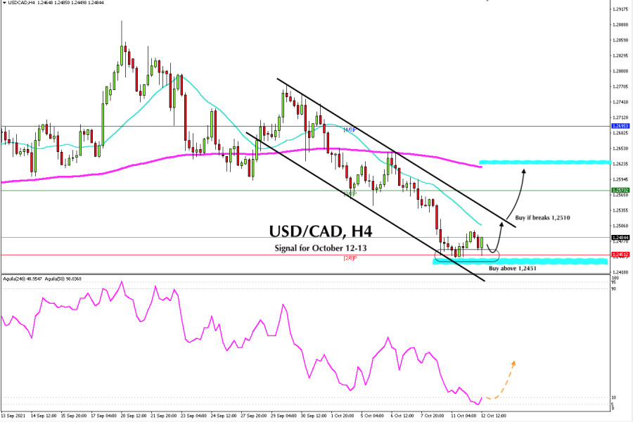 Trading signal for USD/CAD for October 12 - 13, 2021: Buy above 1.2451 (2/8)