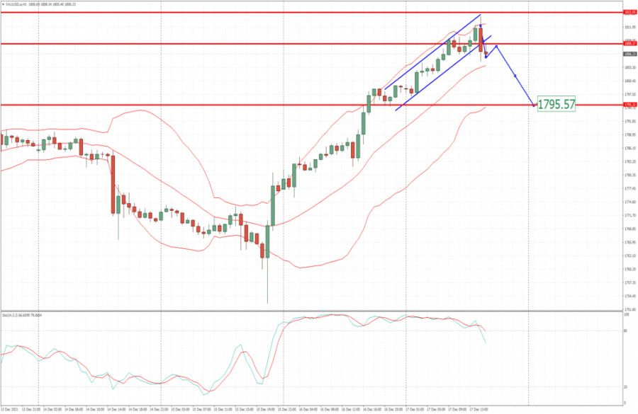 analytics61bc9cd4a7404.jpg