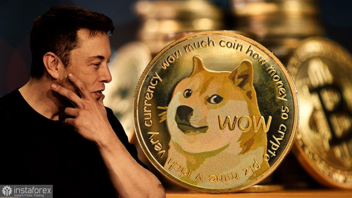 Илон Маск: Bitcoin является средством для богатых, делайте свои ставки на Dogecoin, господа