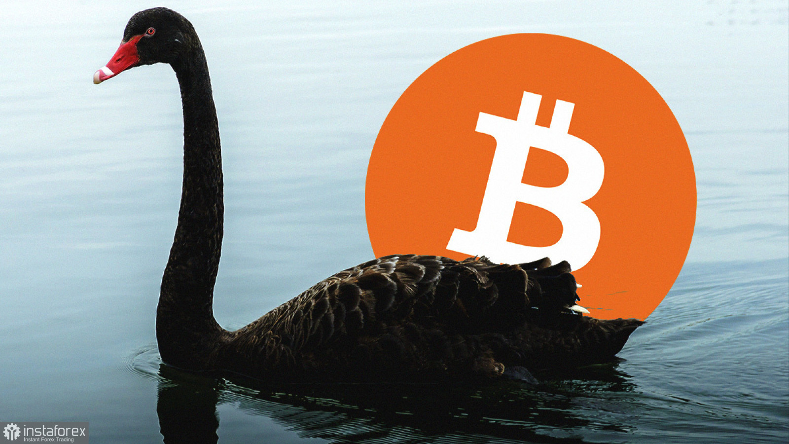 Bitcoin: Цифровое золото проигрывает неровную схватку с рубежом в 50 000 долларов, а картину "Чёрного лебедя" еще никто не отменял