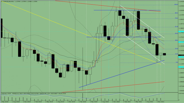 Technical analysis of the EUR/USD pair for January 2022