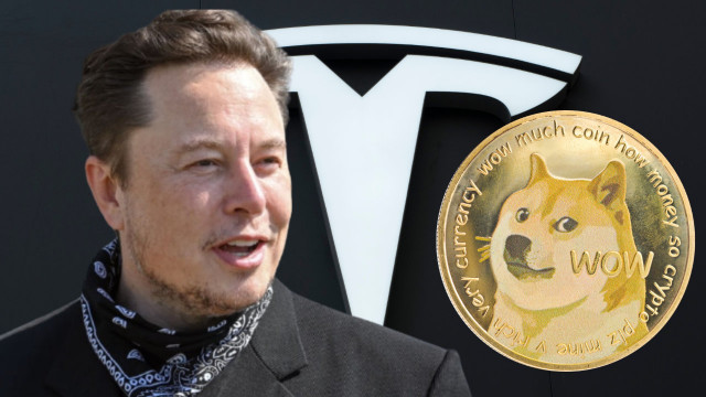 Tesla launches Dogecoin payments for merchandise