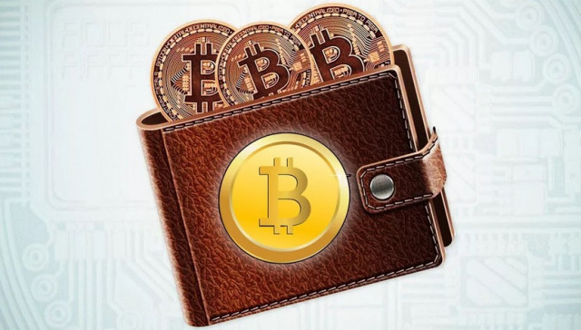 More investors hoard Bitcoin