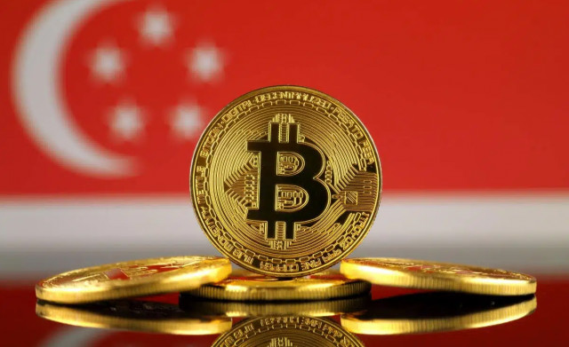 Investments in the cryptocurrency and blockchain sector in Singapore increased more than 10 times