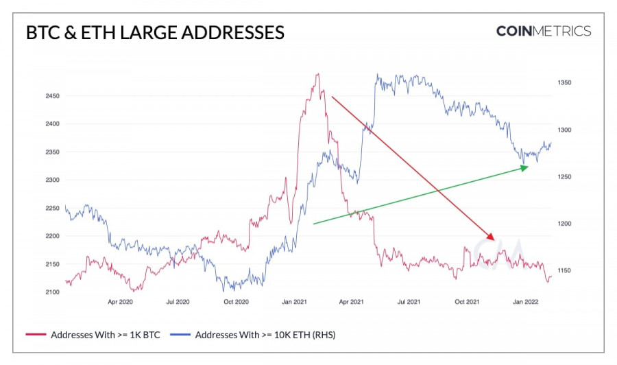 analytics620e2356a5613.jpg