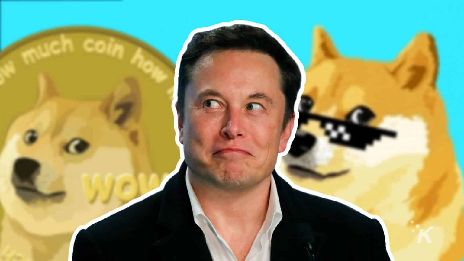 Любимая монета Маска – Dogecoin – снова шокировала крипторынок