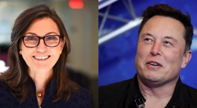 Elon Musk 和 Cathie Wood 批评被动投资
