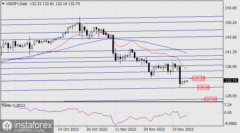 Прогноз по USD/JPY на 23 декабря 2022 года