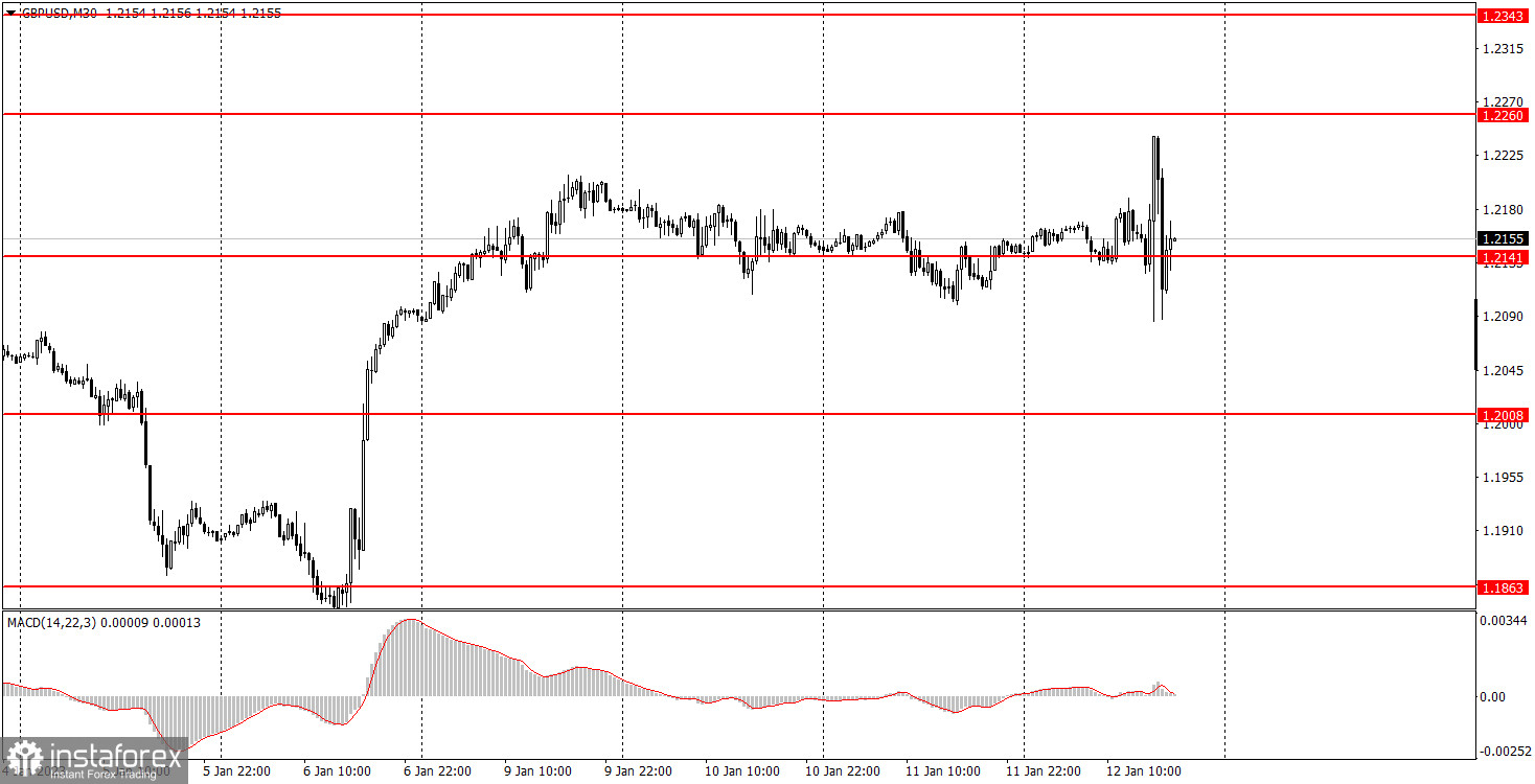 Как торговать валютную пару GBP/USD 13 января. Простые советы и разбор сделок для новичков