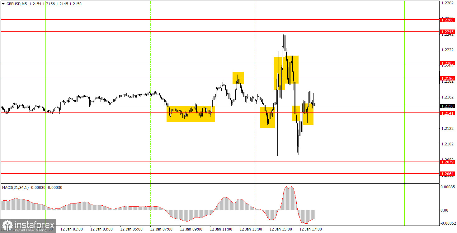 Как торговать валютную пару GBP/USD 13 января. Простые советы и разбор сделок для новичков