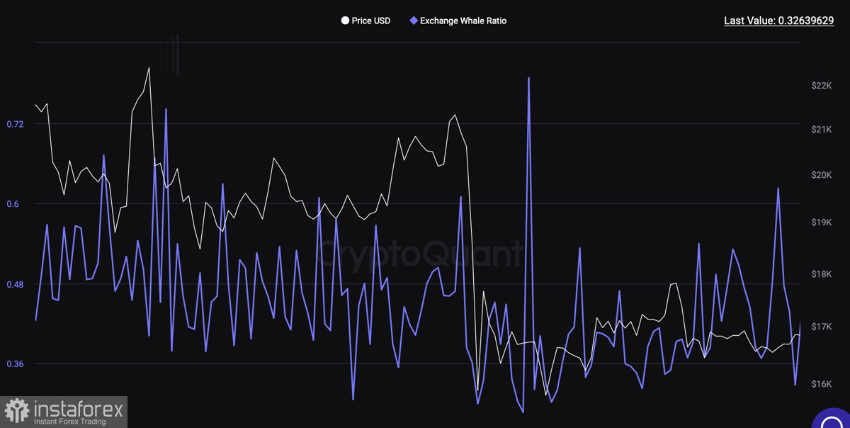 analytics63c660fd1fd51.jpg