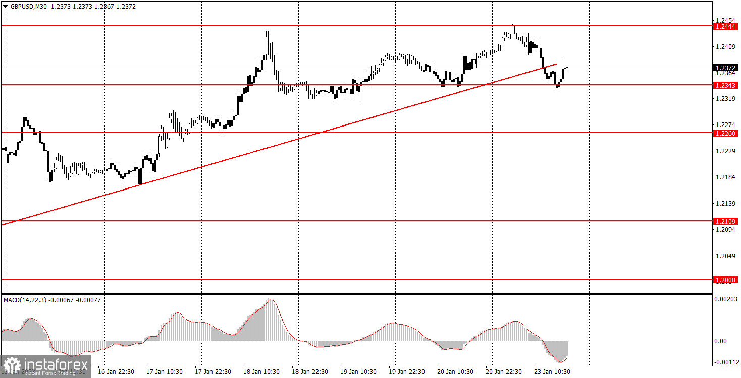 Как торговать валютную пару GBP/USD 24 января. Простые советы и разбор сделок для новичков