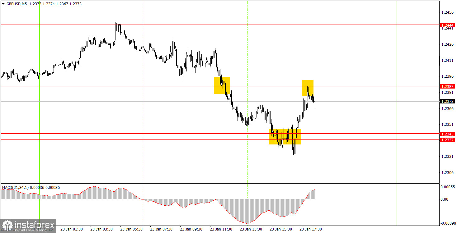 Как торговать валютную пару GBP/USD 24 января. Простые советы и разбор сделок для новичков