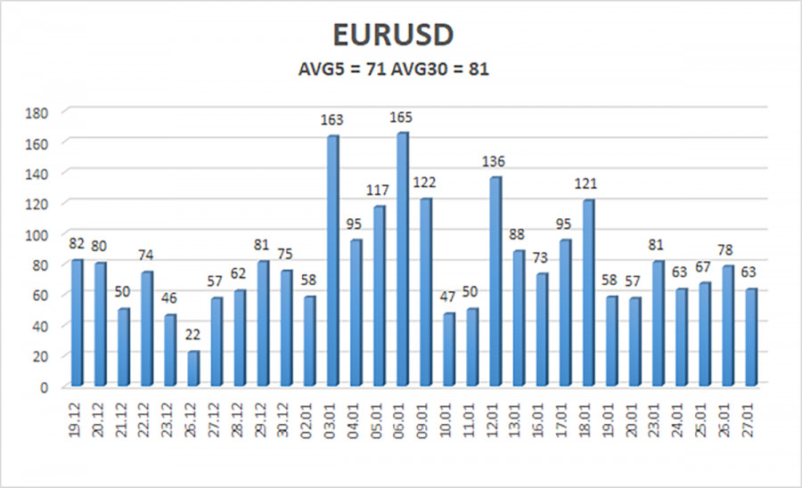 EUR/USD. Overview for January 29. The upcoming week is crucial for both the dollar and the euro.